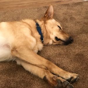 Meet your Posher, Patrick